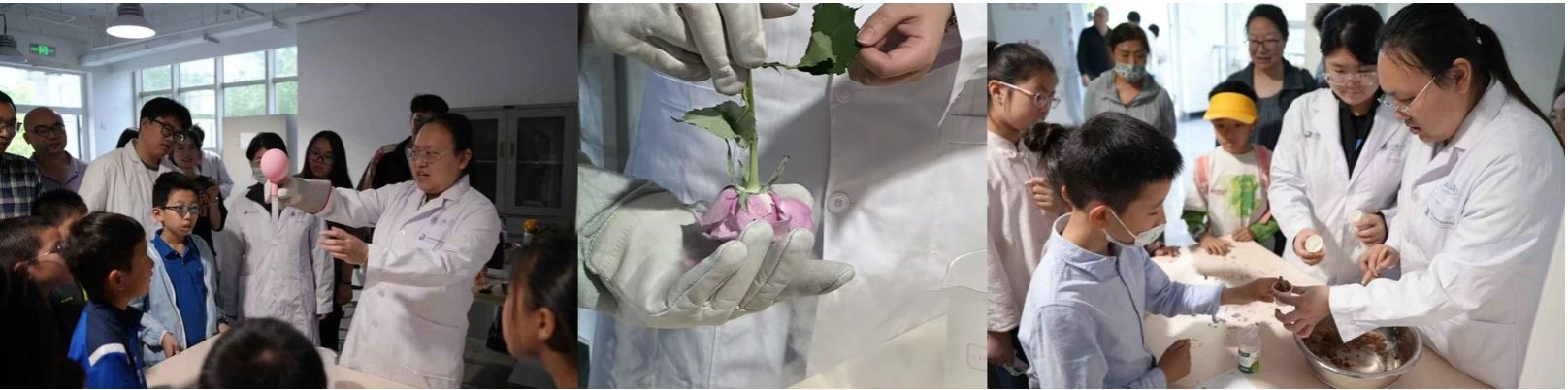 20250605-13.jpg 20250605-13.jpg