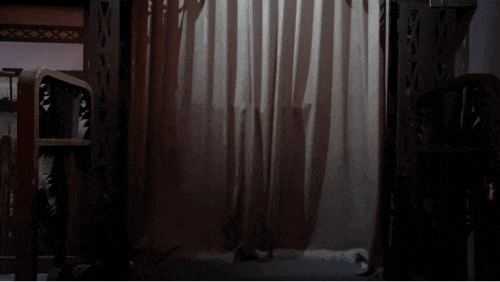 640 (2).gif 640 (2).gif