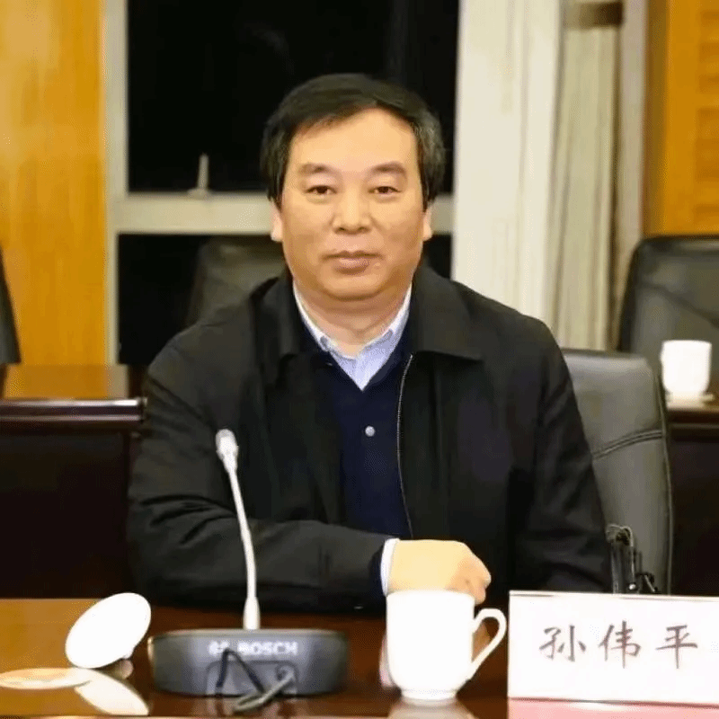 图片孙.png 图片孙.png